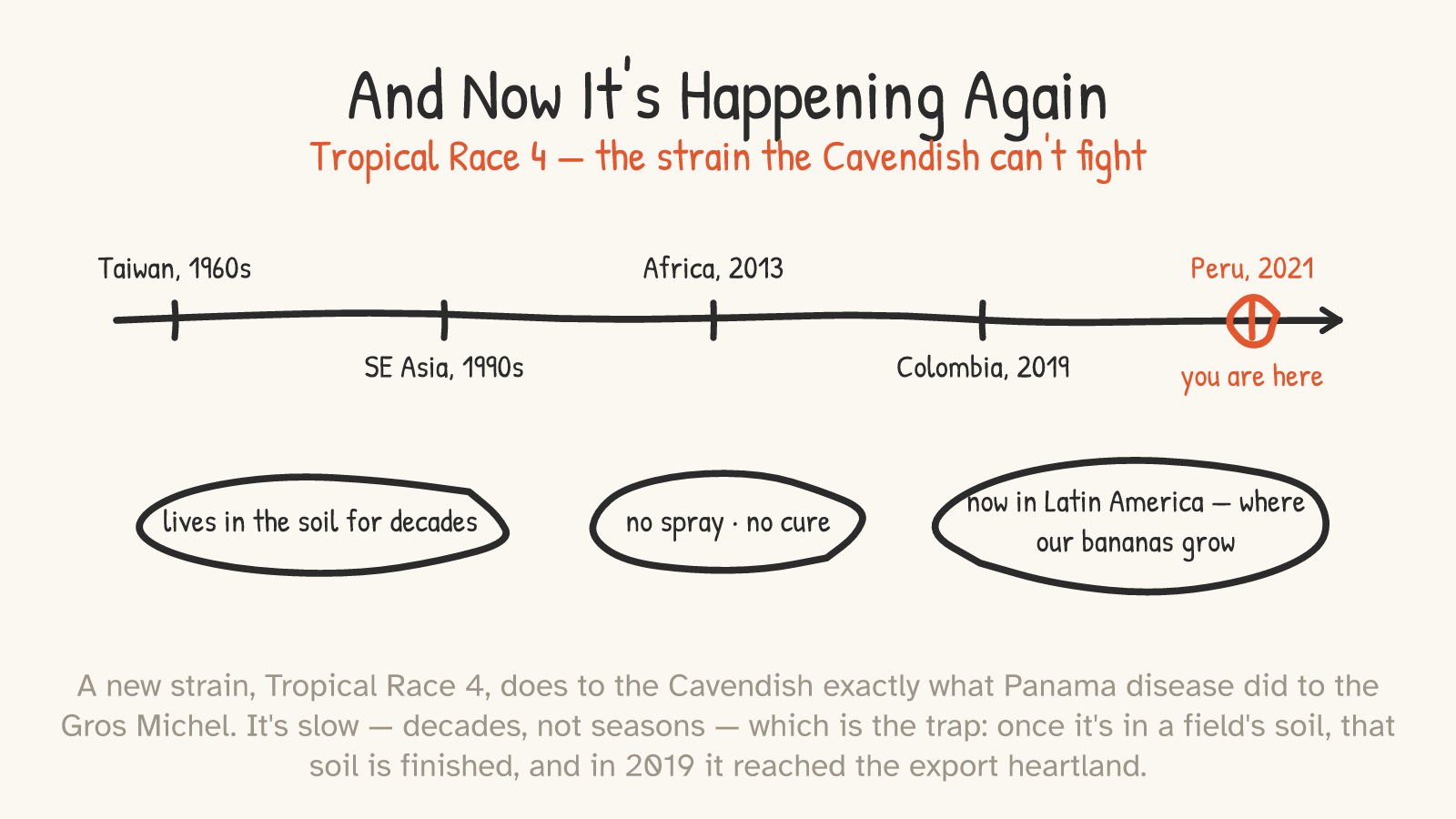 A timeline of TR4's spread — Taiwan 1960s → SE Asia 1990s → Africa 2013 → Colombia 2019 → Peru 2021 (“you are here”) — with three circled facts: “lives in the soil for decades,” “no spray · no cure,” “now in Latin America — where our bananas grow.”