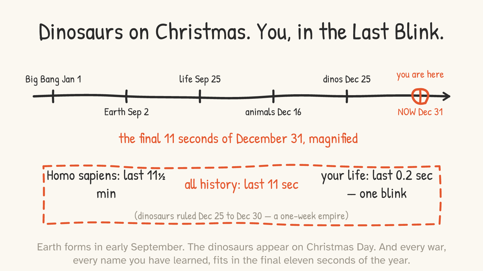 Panel 7: a timeline of the cosmic year — Earth Sep 2, dinosaurs Dec 25, now Dec 31 — with the final 11 seconds magnified: recorded history 11 s, a human life one blink
