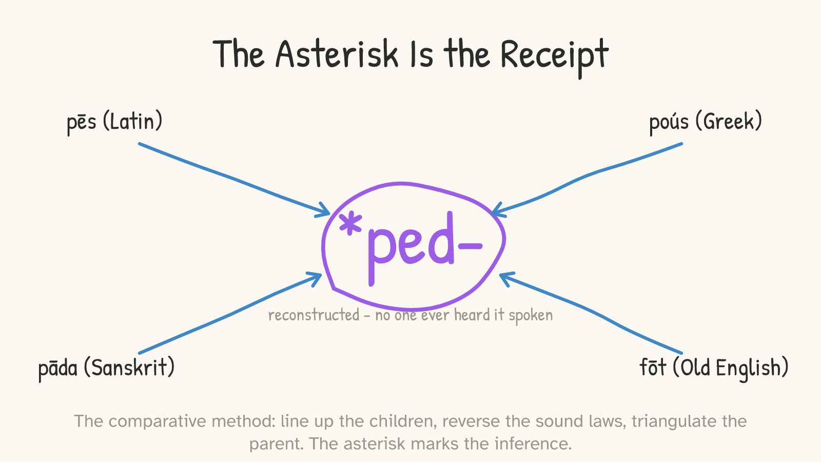 Panel 3: four attested words (pēs, poús, pāda, fōt) with arrows converging inward on *ped- at the center