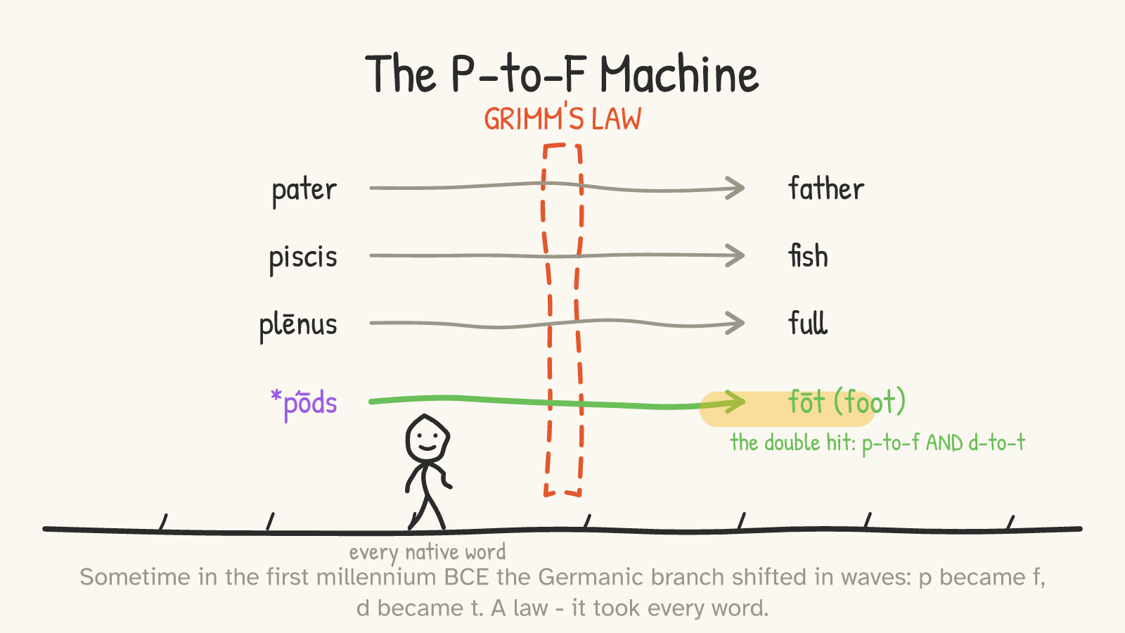 Panel 4: words walking through a gate labeled Grimm's Law — pater→father, piscis→fish, plēnus→full, and *pṓds→fōt with the double p→f and d→t shift