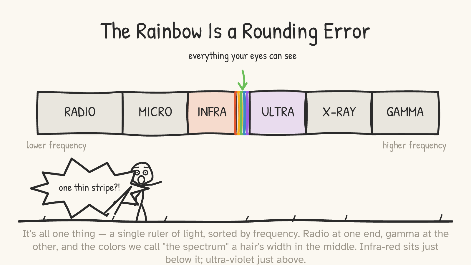 A single labeled ruler — RADIO, MICRO, INFRA, a tiny multi-coloured ROYGBIV “visible” sliver, ULTRA, X-RAY, GAMMA — with an arrow reading “everything your eyes can see” pointing at the thin stripe and a shocked figure shouting “one thin stripe?!”